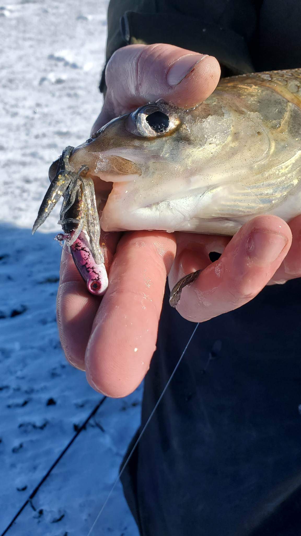 The Boothy Bomber (Special Menace Jig)